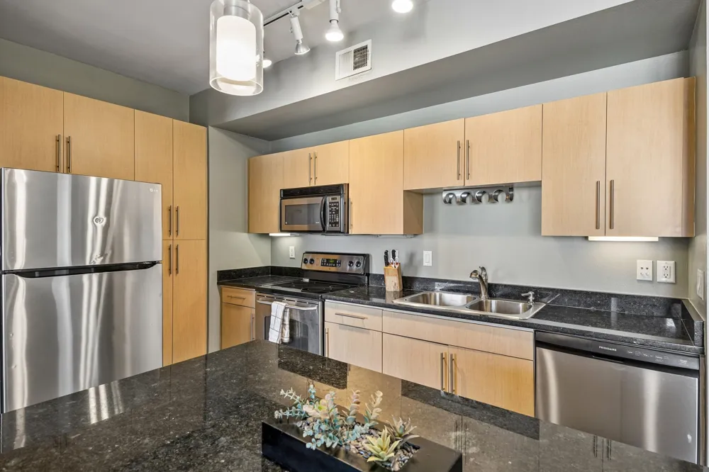 4605 Cedar Springs Road #218 Dallas, TX 75219