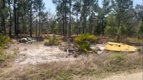 246 CASPIAN TERN AVENUE