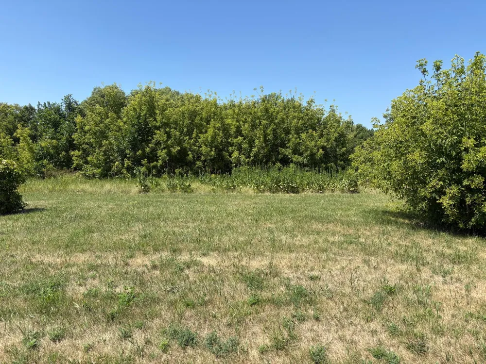 101 Highland Circle Dassel, MN 55325