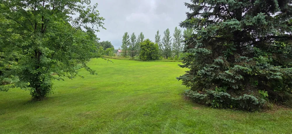 6951 County Road 82 NW Garfield, MN 56332