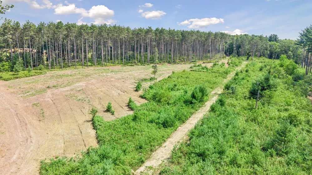 (Lot 3) TBD Tulip Street NW Stanchfield, MN 55080
