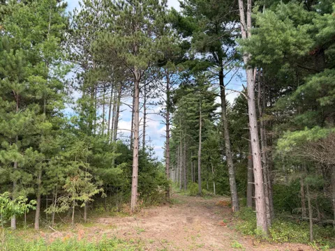 (Lot 5) TBD Tulip Street NW