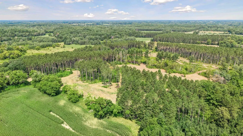 (Lot 6) TBD Tulip Street NW Stanchfield, MN 55080