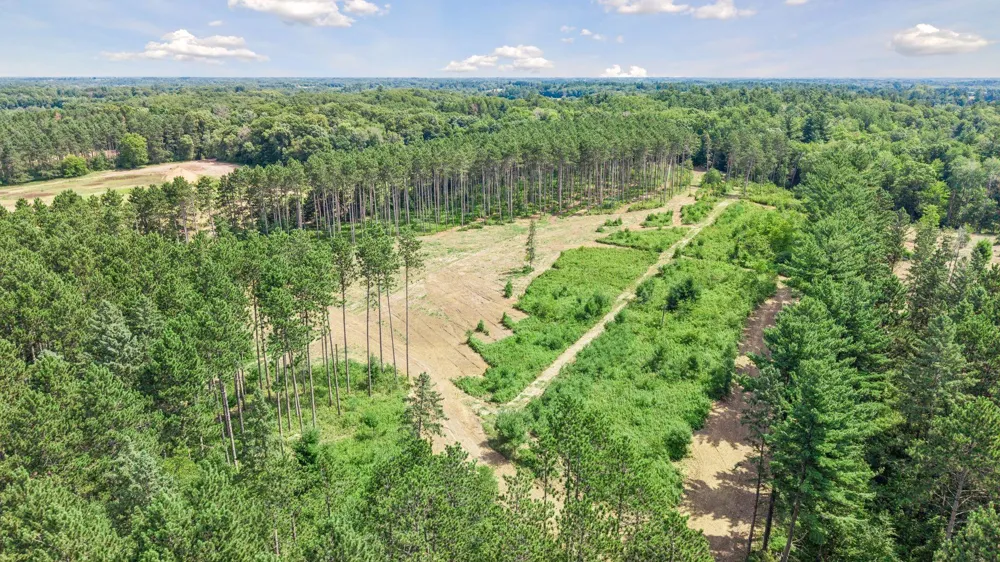 (Lot 6) TBD Tulip Street NW Stanchfield, MN 55080