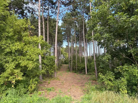 (Lot 6) TBD Tulip Street NW