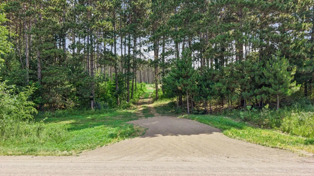 (Lot 2) TBD Tulip Street NW Stanchfield, MN 55080