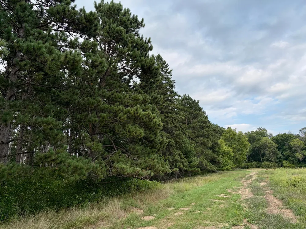 (Lot 2) TBD Tulip Street NW Stanchfield, MN 55080