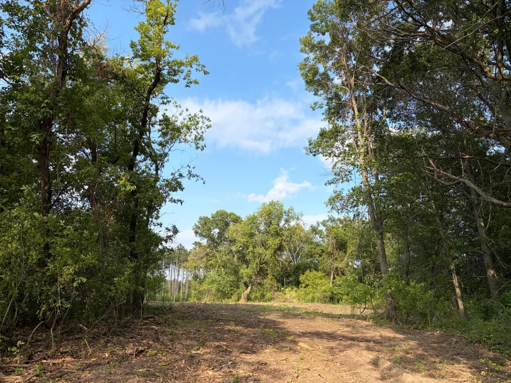 (Lot 7) TBD Tulip Street NW Stanchfield, MN 55080