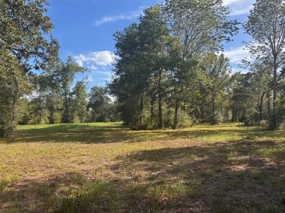 5829 Hwy 159 W Bellville, TX 77418