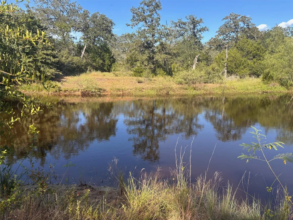 5829 Hwy 159 W Bellville, TX 77418