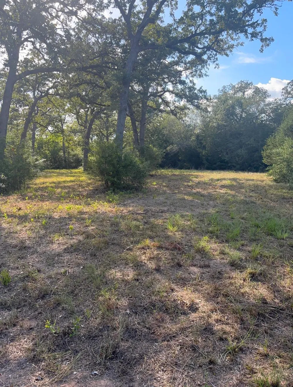 5829 Hwy 159 W Bellville, TX 77418