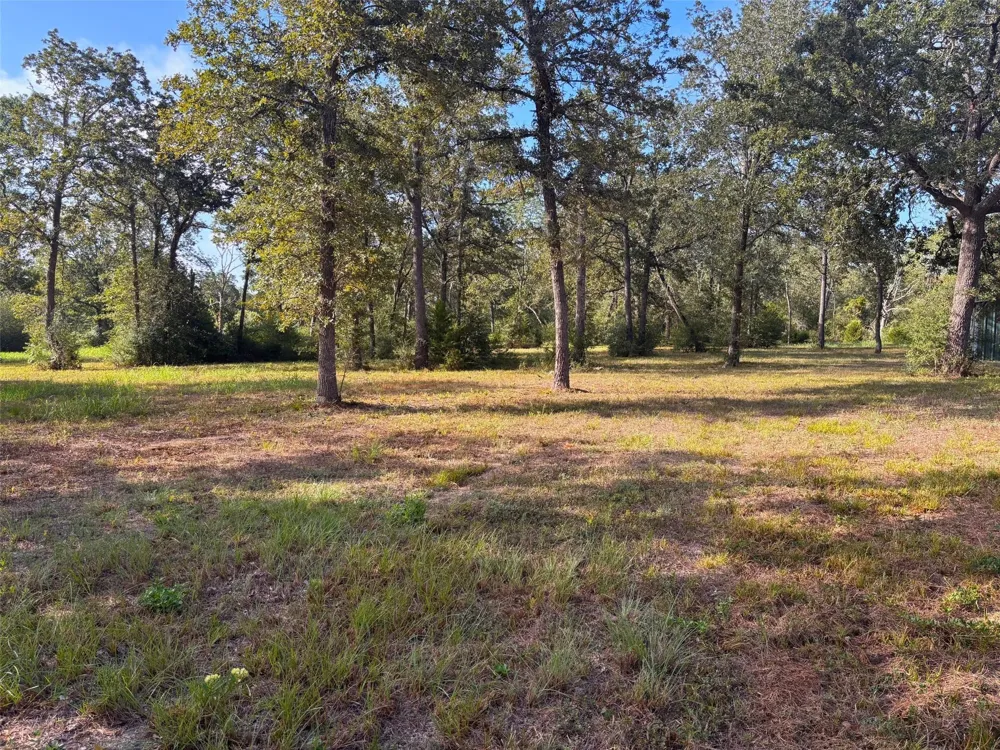 5829 Hwy 159 W Bellville, TX 77418