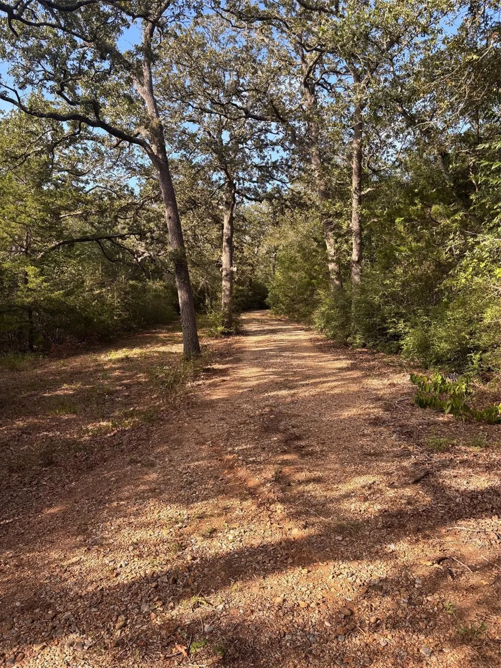 5829 Hwy 159 W Bellville, TX 77418