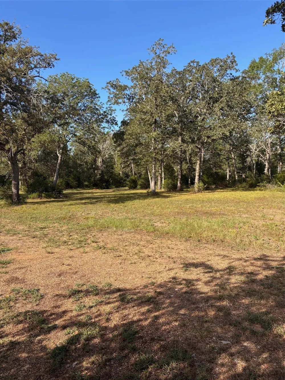 5829 Hwy 159 W Bellville, TX 77418
