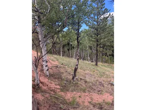 40 Sequoia Trail