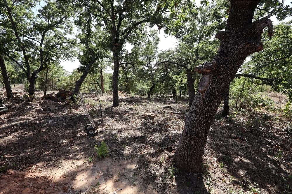 175 Lori Drive Mineral Wells, TX 76067