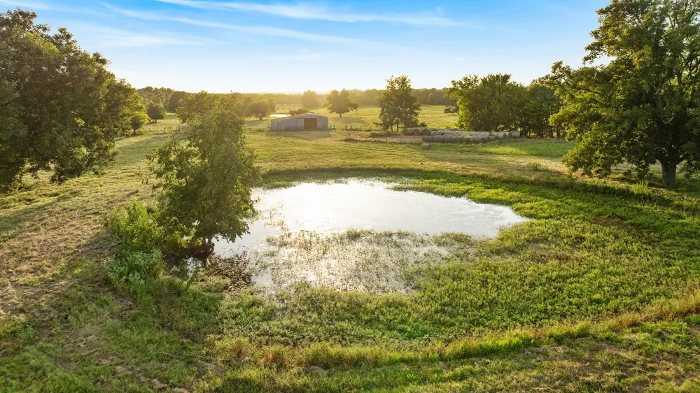 Hwy 24 Paris, TX 75462