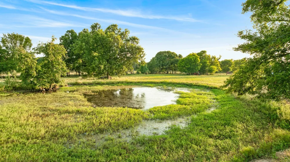 Hwy 24 Paris, TX 75462