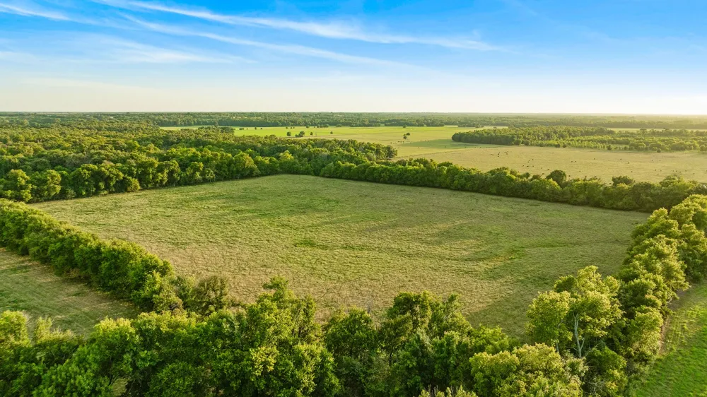 Hwy 24 Paris, TX 75462