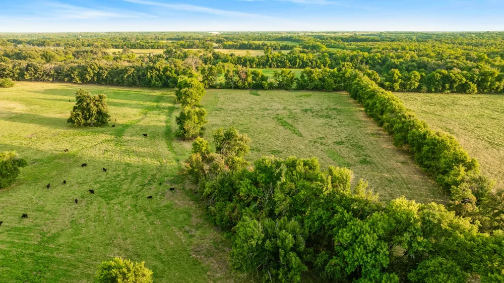 Hwy 24 Paris, TX 75462