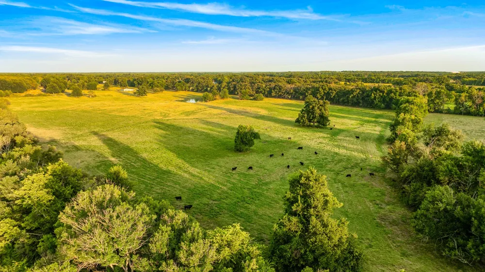 Hwy 24 Paris, TX 75462