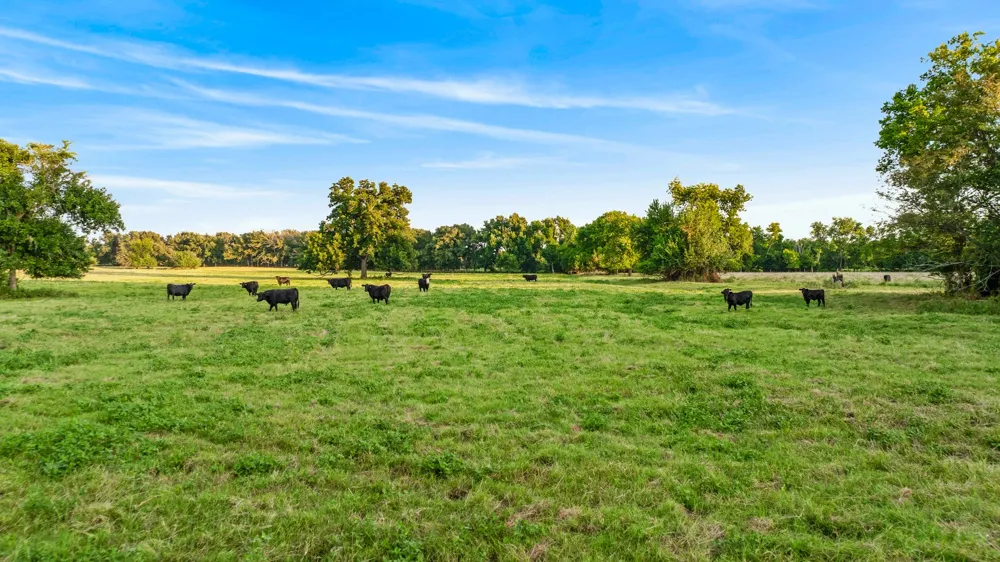 Hwy 24 Paris, TX 75462
