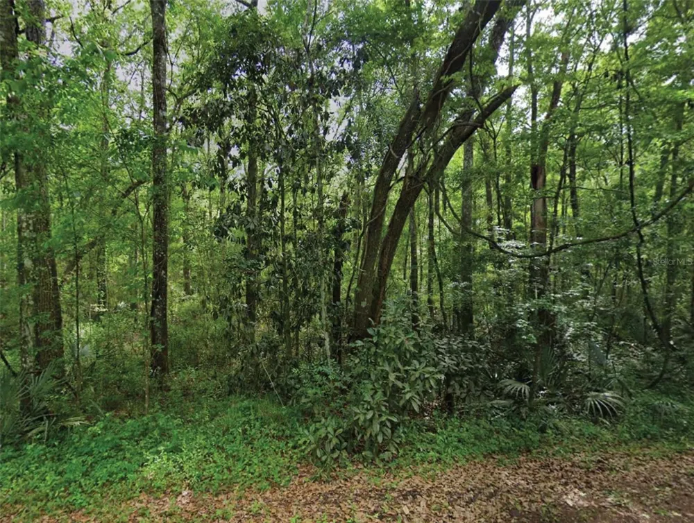 SCENIC DRIVE Middleburg, FL 32068