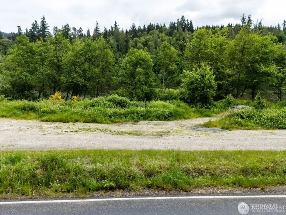 0 APN-009 Orville Road E Eatonville, WA 98328
