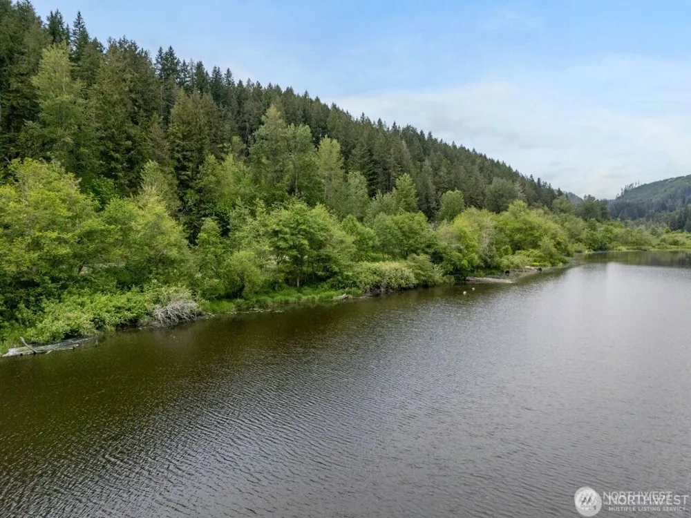 0 APN-009 Orville Road E Eatonville, WA 98328