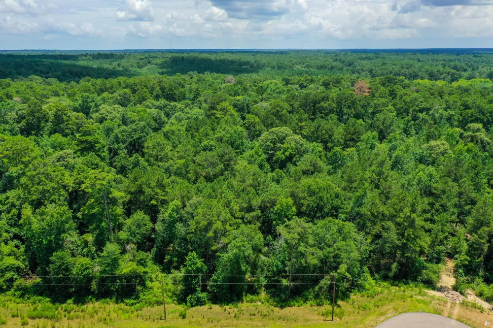 34 Sandstone Lane Huntsville, TX 77340