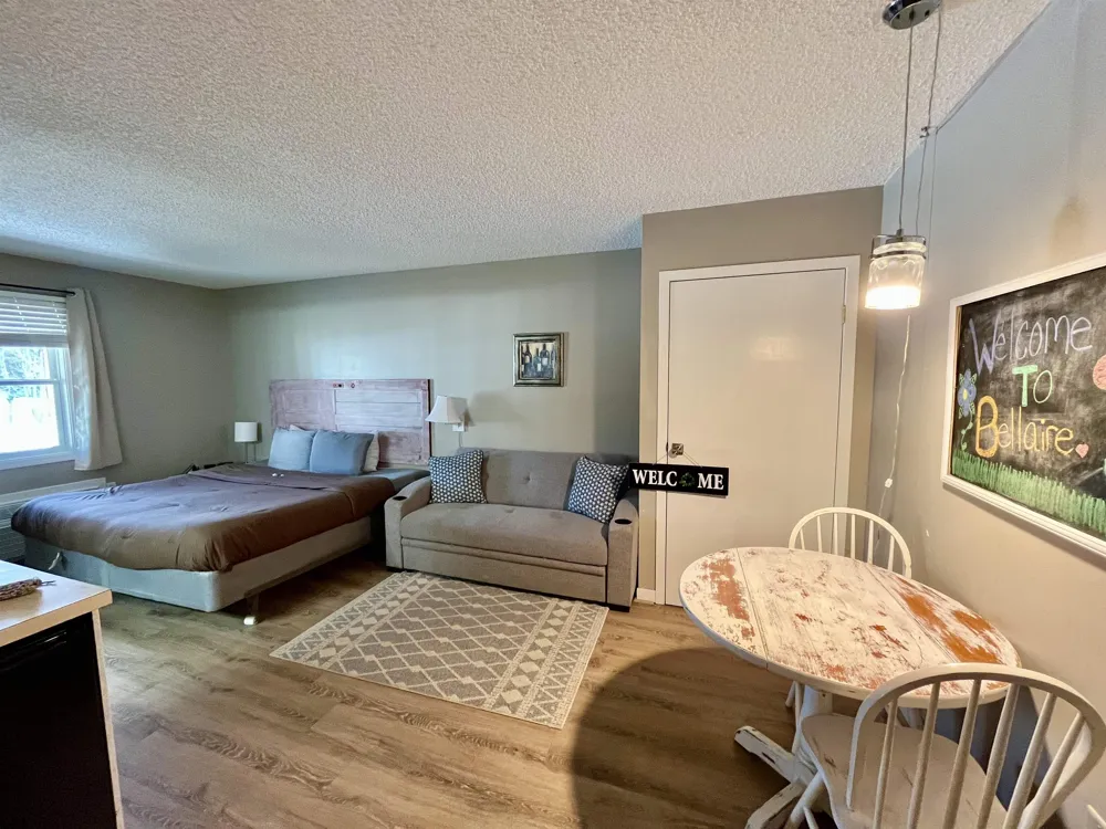 6500 Schuss Mountain Lane Custer Township, MI 49659
