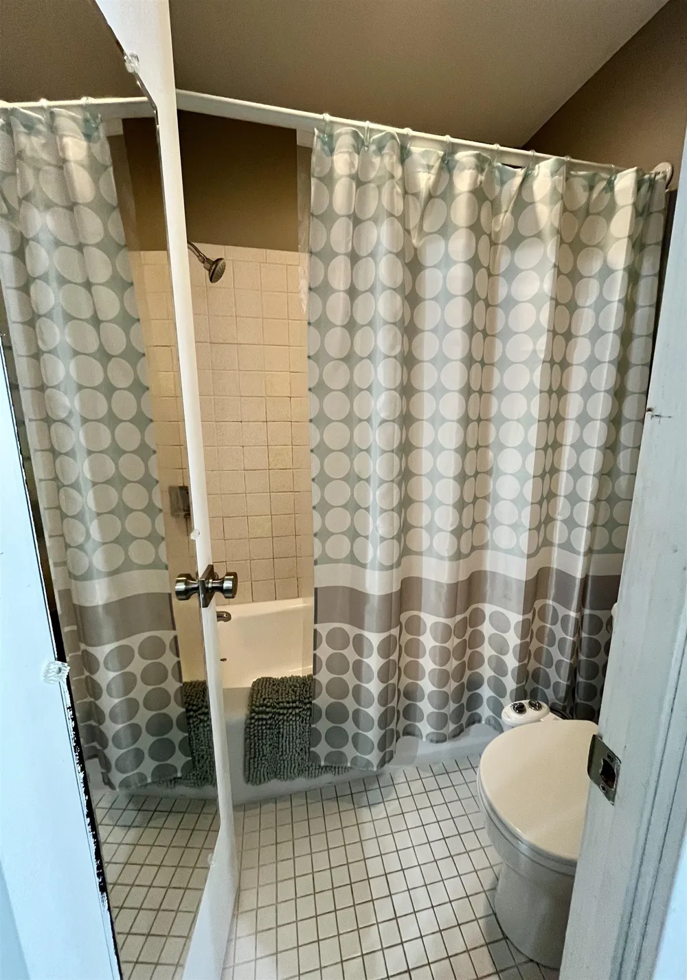 6500 Schuss Mountain Lane Custer Township, MI 49659