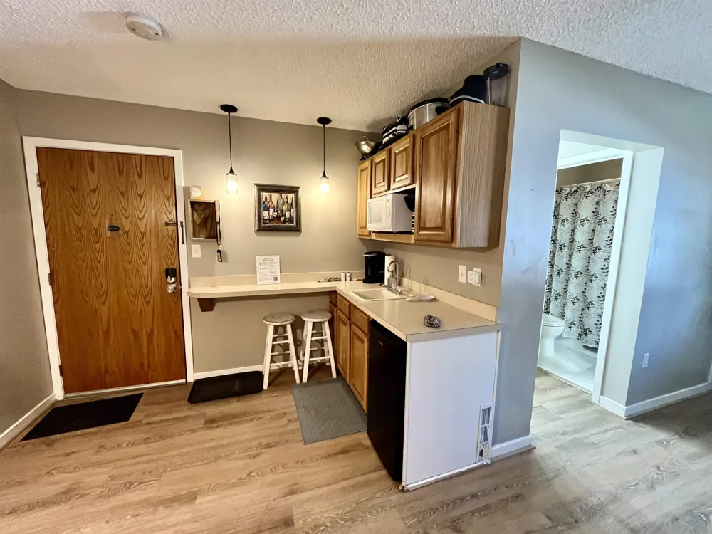 6500 Schuss Mountain Lane Custer Township, MI 49659
