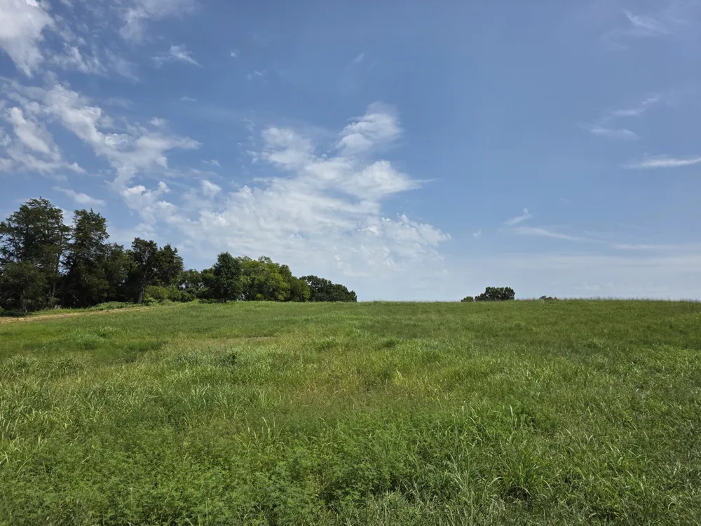 0 Cainsville Rd Lebanon, TN 37087
