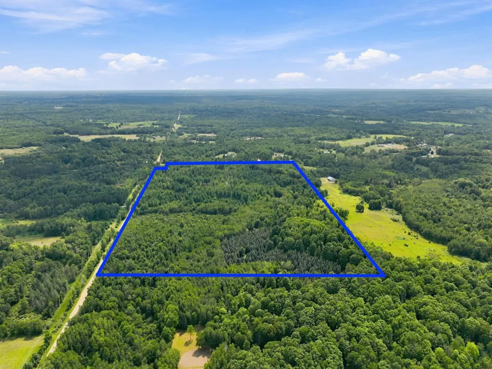 210th Avenue Burdell Township, MI 49688