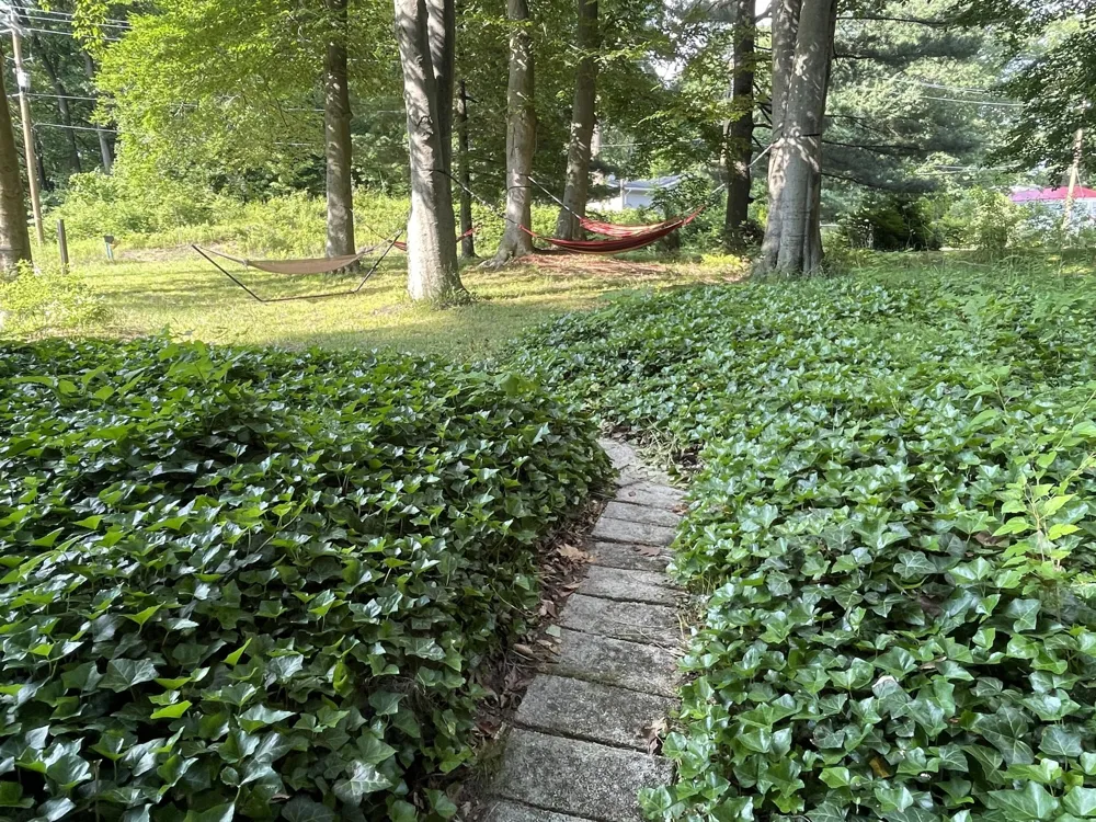 2982 W Bundy Road Hagar Township, MI 49038
