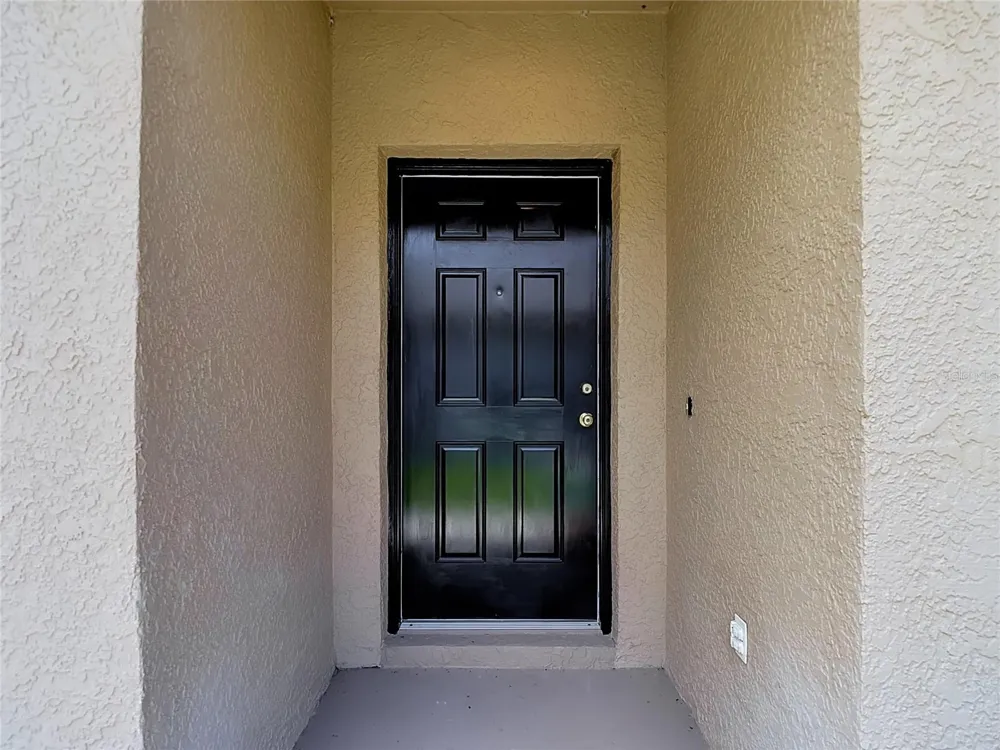 24443 SUMMER WIND CT Lutz, FL 33559