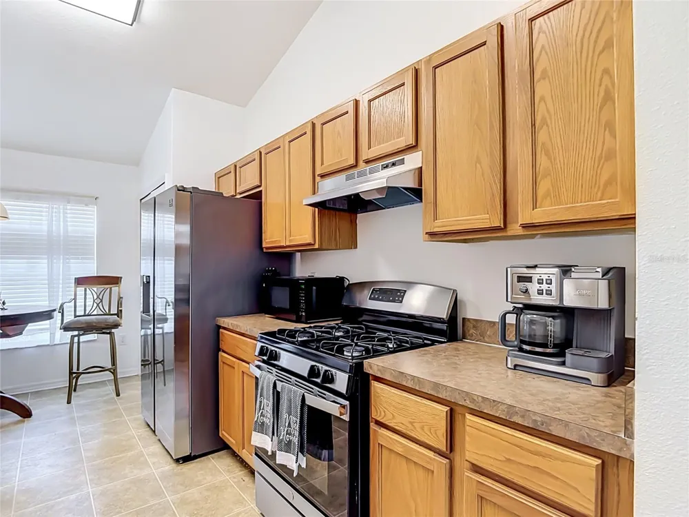 24443 SUMMER WIND CT Lutz, FL 33559