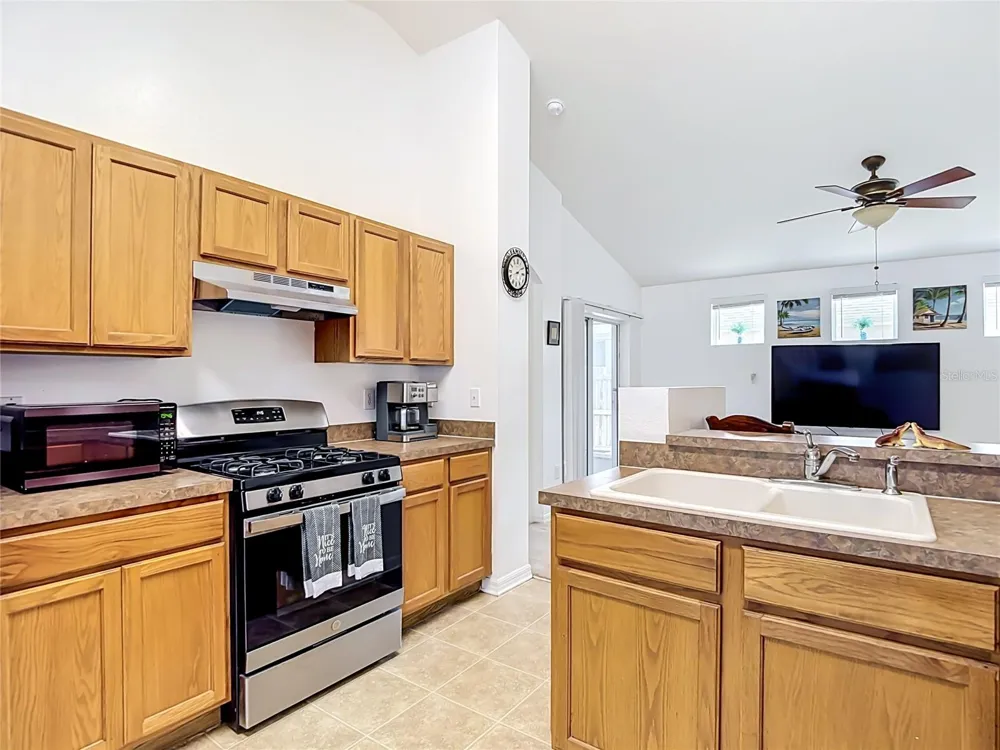 24443 SUMMER WIND CT Lutz, FL 33559