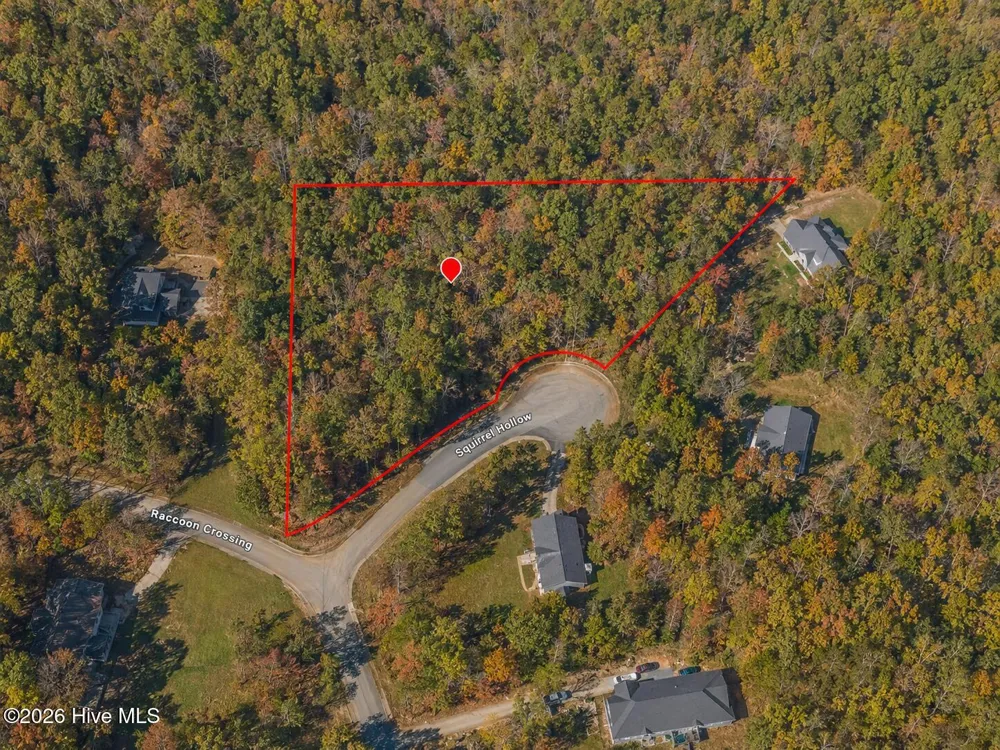 40r Squirrel Hollow Henderson, NC 27537
