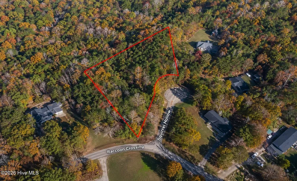 40r Squirrel Hollow Henderson, NC 27537