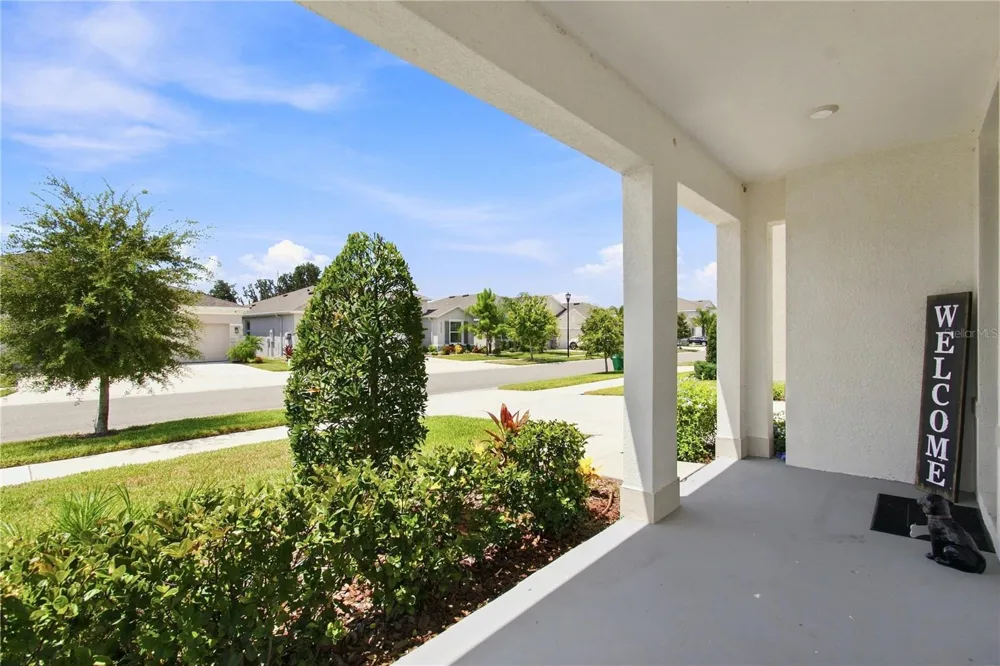33635 HAMILTON HILL LANE Wesley Chapel, FL 33545