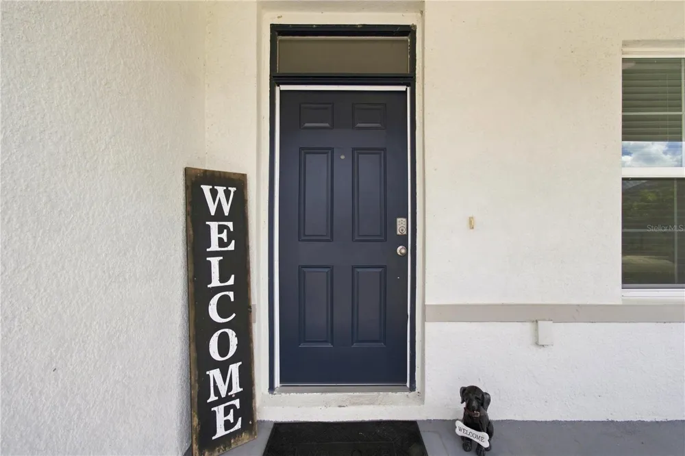 33635 HAMILTON HILL LANE Wesley Chapel, FL 33545