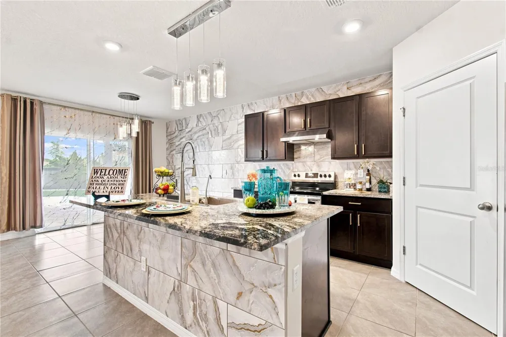33635 HAMILTON HILL LANE Wesley Chapel, FL 33545