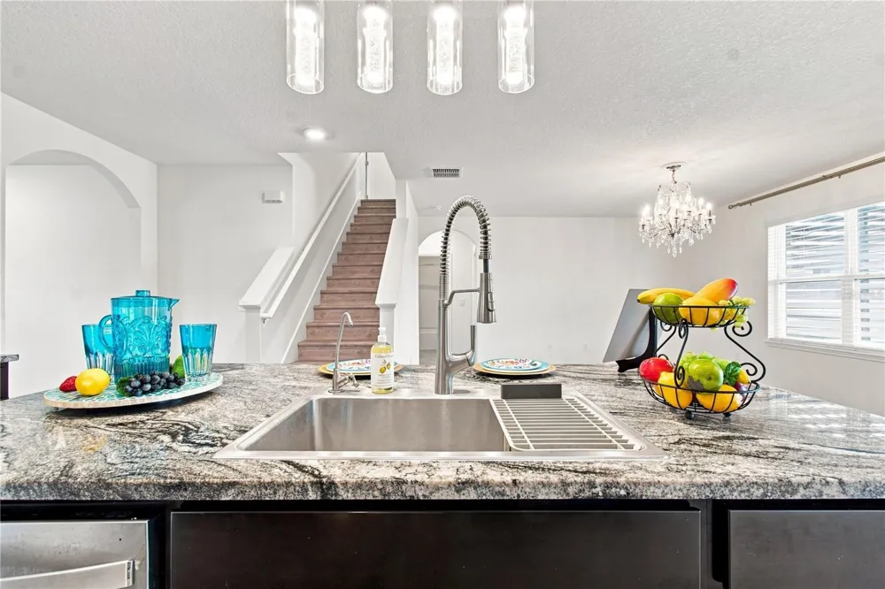 33635 HAMILTON HILL LANE Wesley Chapel, FL 33545