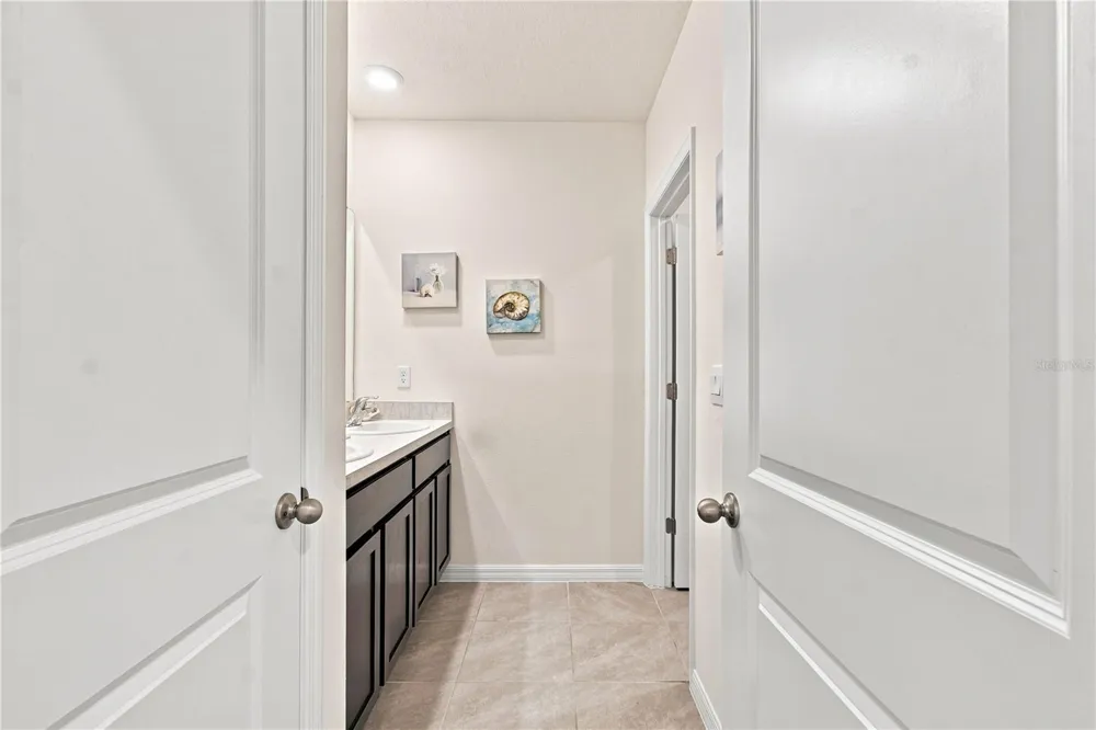 33635 HAMILTON HILL LANE Wesley Chapel, FL 33545