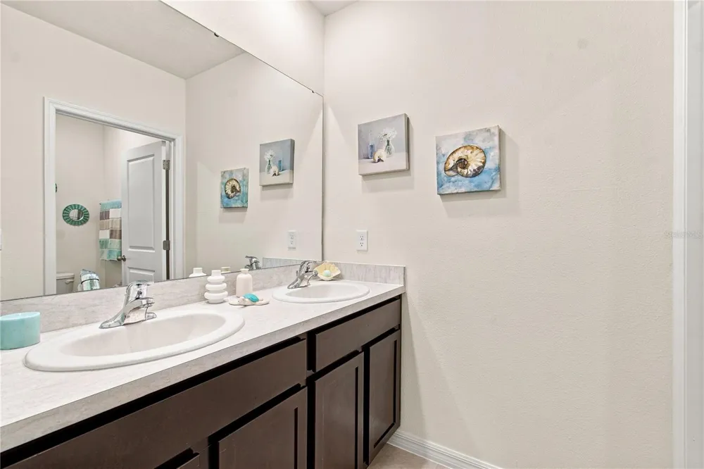 33635 HAMILTON HILL LANE Wesley Chapel, FL 33545