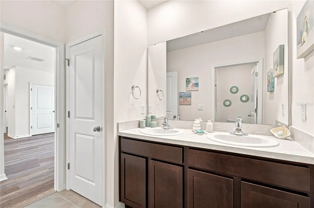 33635 HAMILTON HILL LANE Wesley Chapel, FL 33545