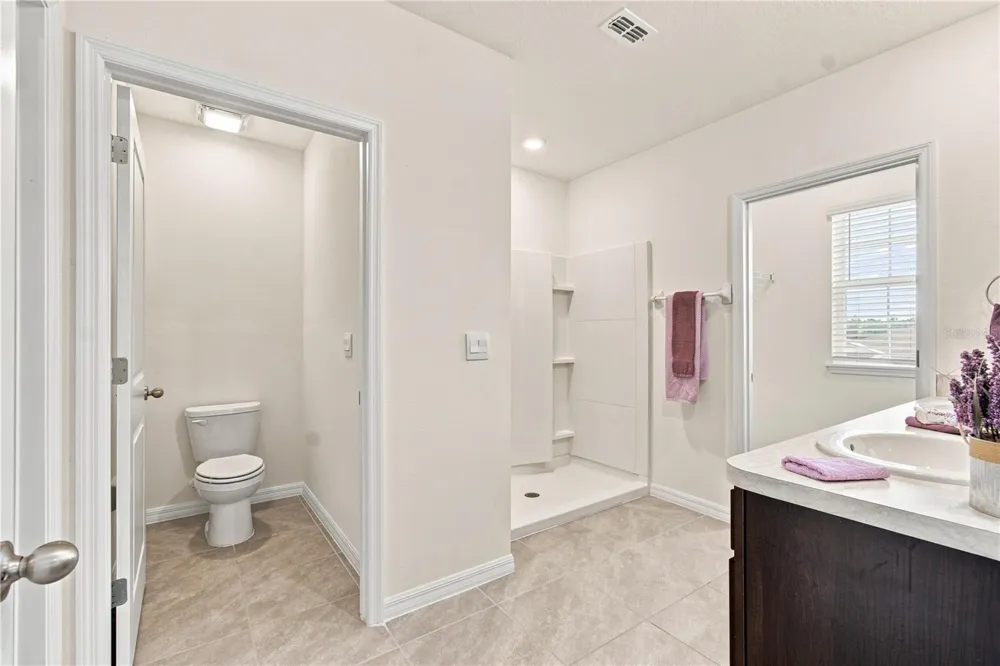33635 HAMILTON HILL LANE Wesley Chapel, FL 33545