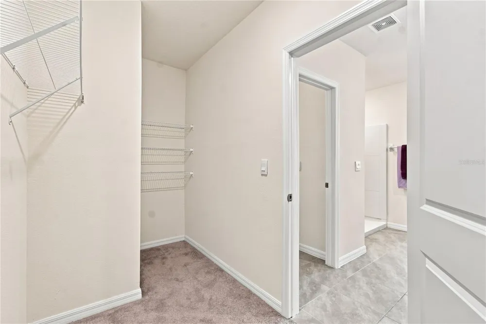 33635 HAMILTON HILL LANE Wesley Chapel, FL 33545